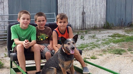 Whippersnapper--3 boys and a dog