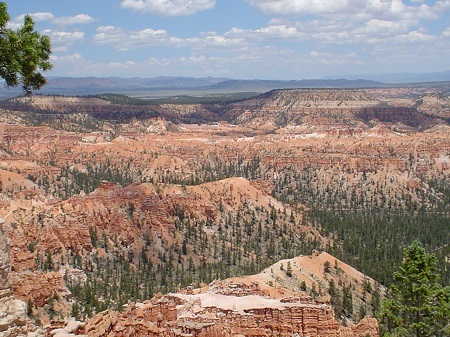 Pretty as a Picture--Bryce Canyon National Park