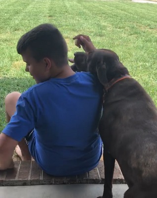 A Lick and a Promise--dog licking boy's face