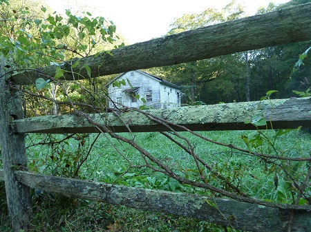 If It Ain't Broke, Don't Fix It-old house and overgrown rail fence