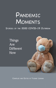 Pandemic Moments: Stories of the 2020 COVID-19 Outbreak--book cover of a stuffed bear with a mask