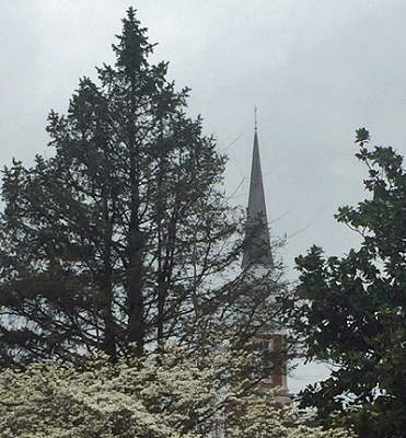Holier than Thou--church steeple framed by trees