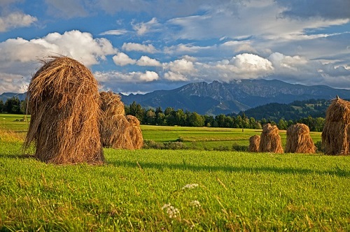 Needle In A Haystack Diana Derringer