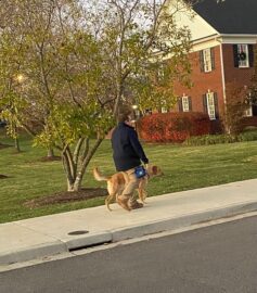 The Blind Leading the Blind - Diana Derringer