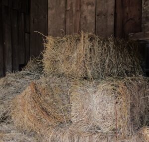 Go Haywire--stacked hay