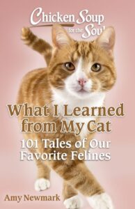 What I Learned from My Cat--book cover of cat